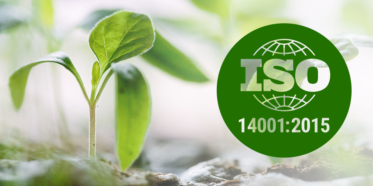 the iso 14001 standard is