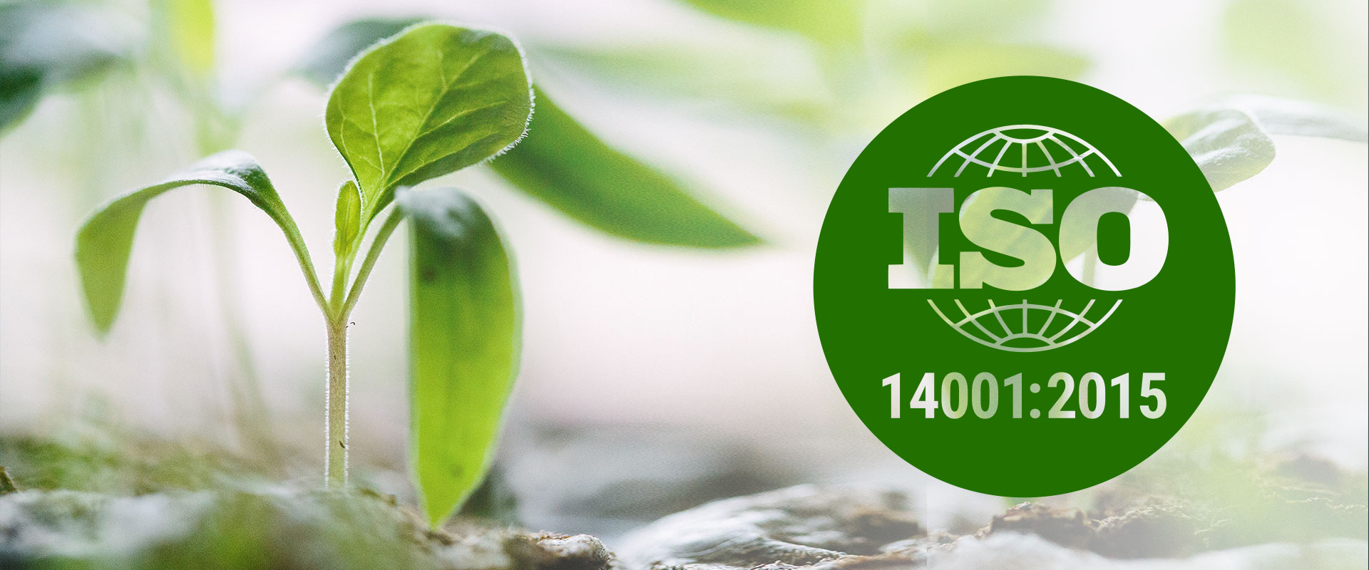 ISO 14001 International Certification Organization